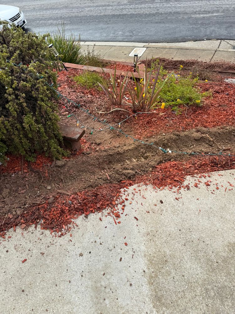 All Photos for CBA Landscaping in Hayward, CA