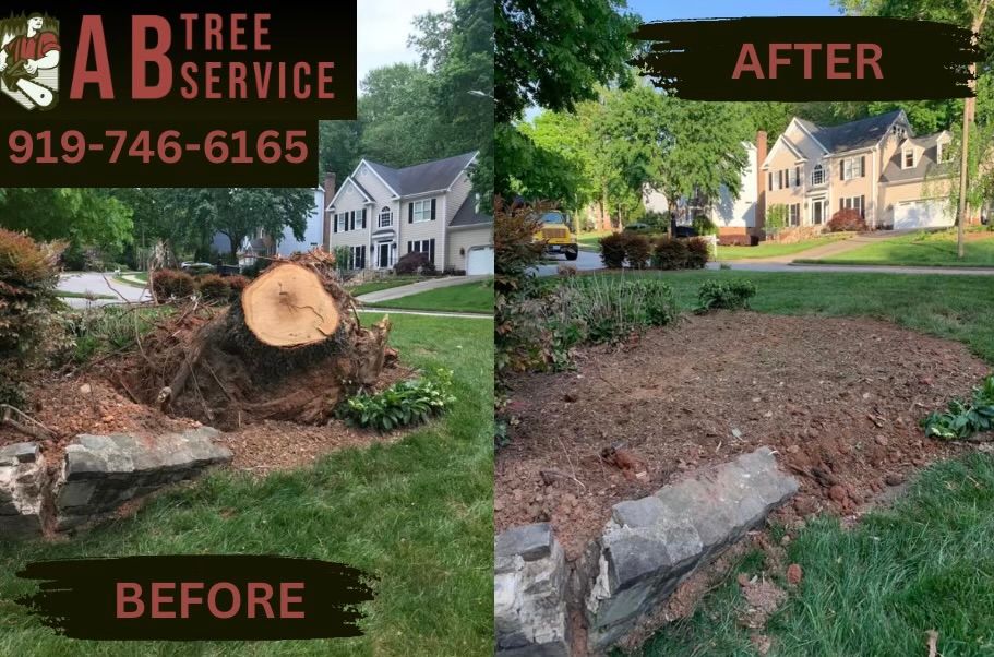 All Photos for AB Tree Service in Raleigh, NC