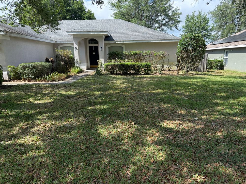All Photos for Amerigrown Tree And Lawn in Apopka, FL