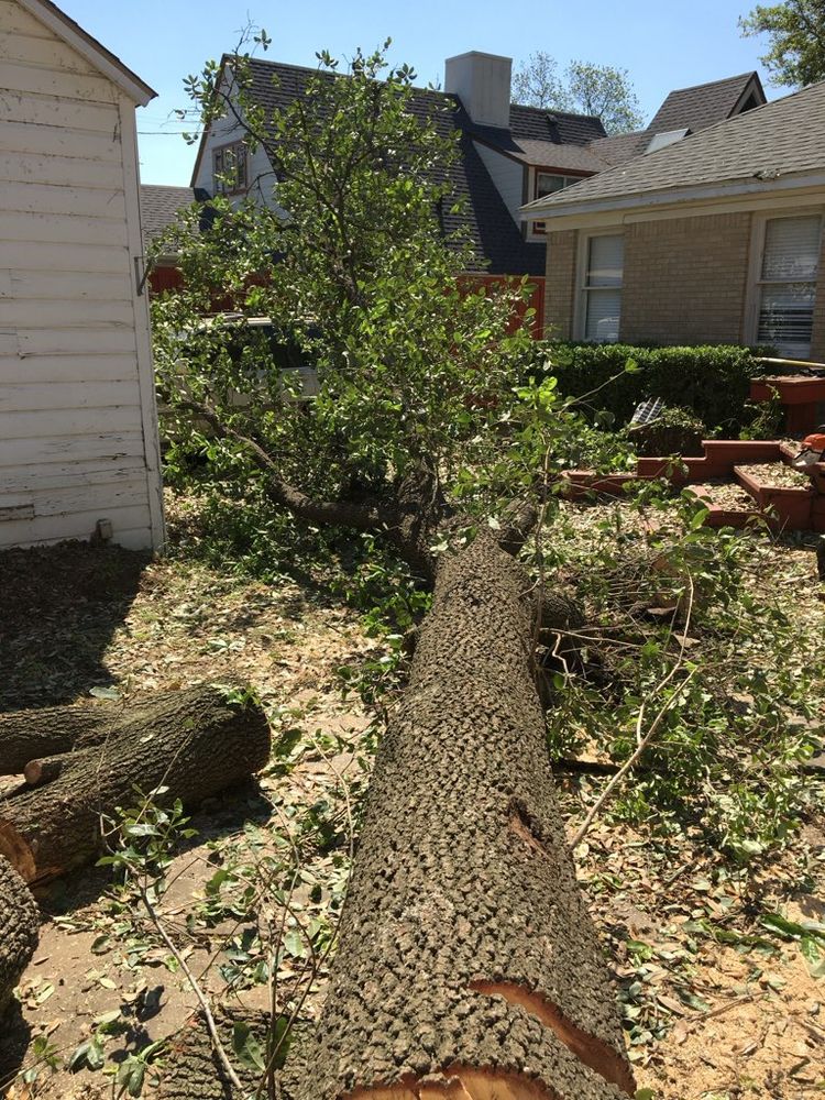 All Photos for A Realtree Service in Garland, TX
