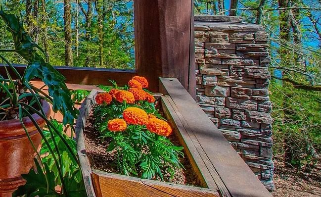 All Photos for Stone Works in North Little Rock, AR