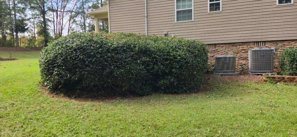All Photos for Fresh Cut Yard & Lawn Care LLC in Forsyth, GA