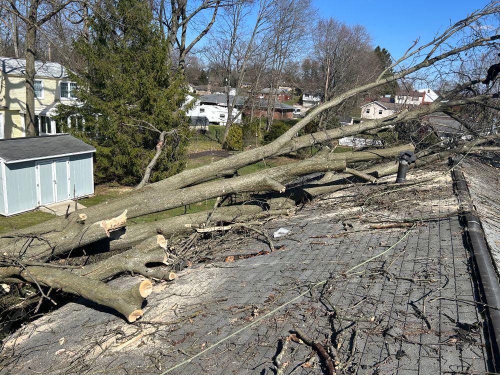 Emergency services  for JJ Tree Service in Gibsonia, PA