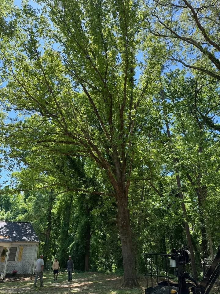 All Photos for Hunt’s Hauling & Landworks LLC in Danville, VA