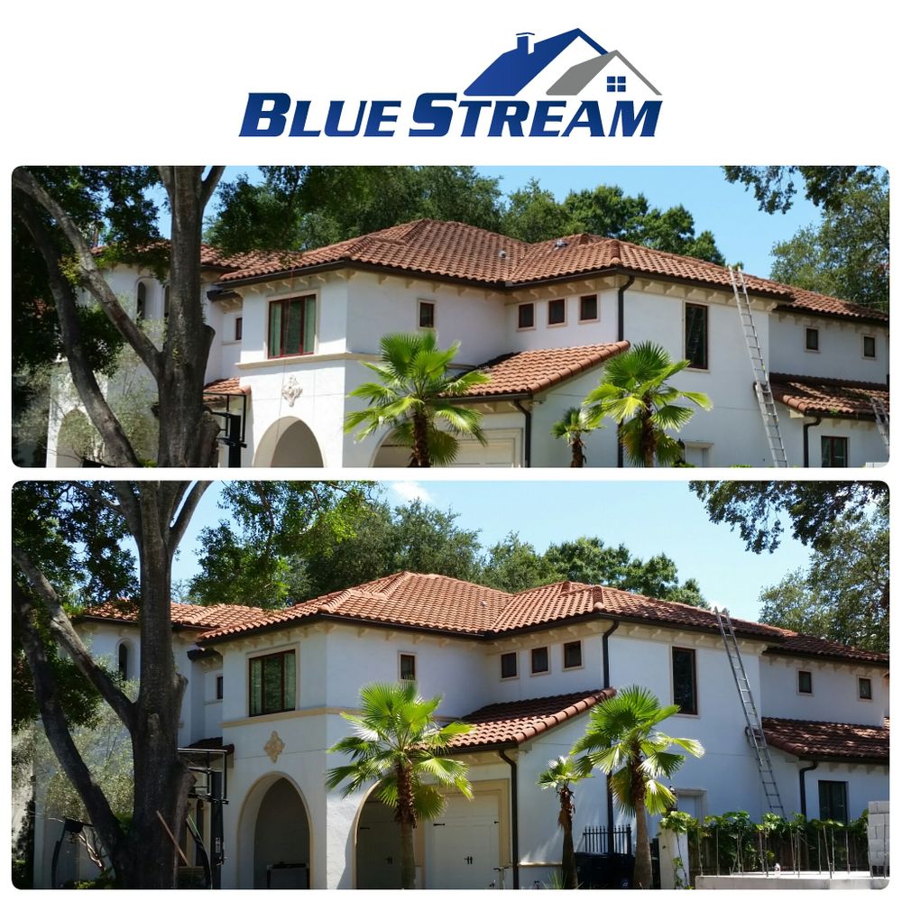 Roof Cleaning for Blue Stream Roof Cleaning & Pressure Washing  in Dover, FL