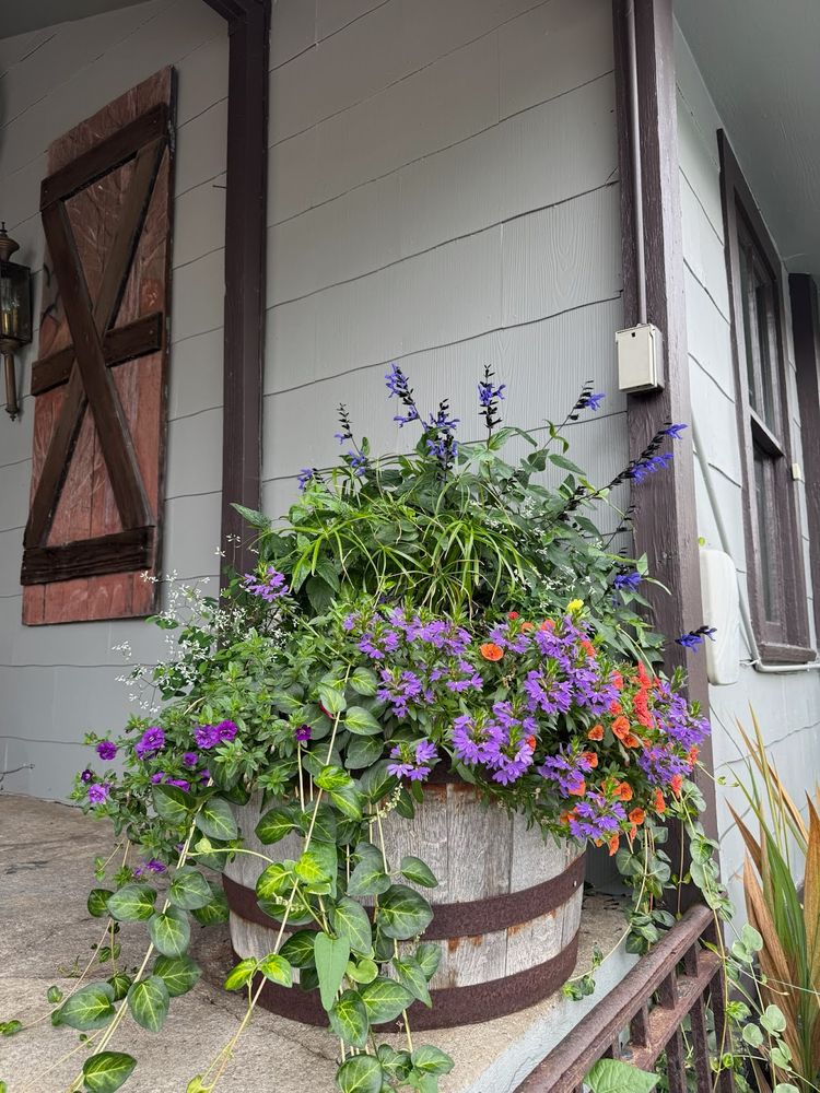 All Photos for Sustainable Lawn and Landscape in Banner Elk, NC