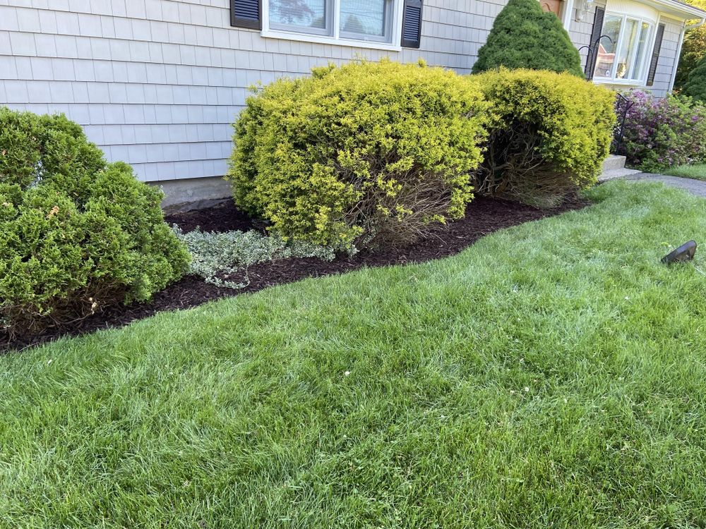 All Photos for Ace Landscaping in Trumbull, CT