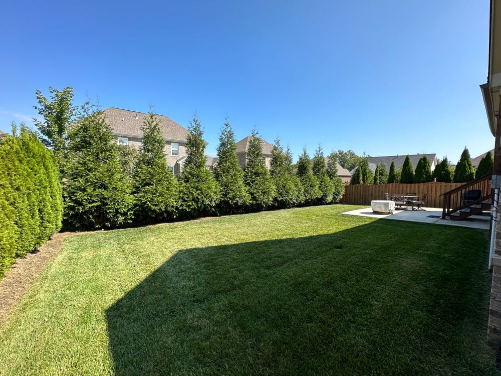 Lawn Care in Columbia, Tennessee Task Force Property Maintenance & Lawn Care Home