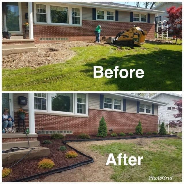 Tree Removal for Greenlee & Family Landscaping Services in Peoria, IL