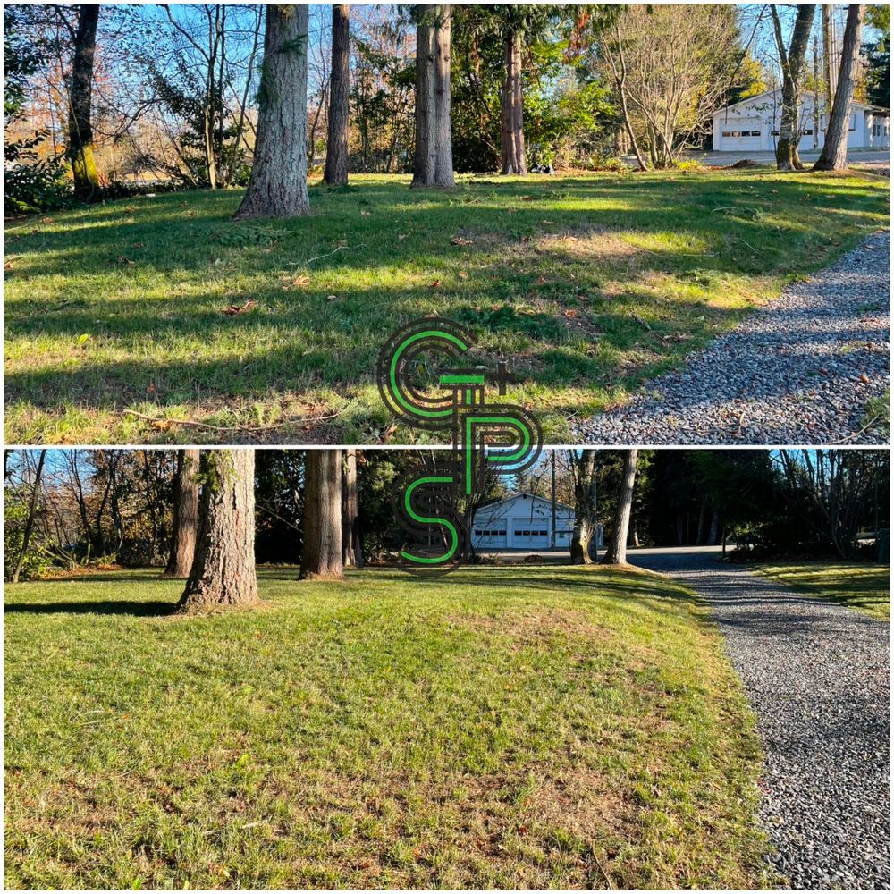 Lawn Care for Golovin Property Services LLC in Marysville, WA