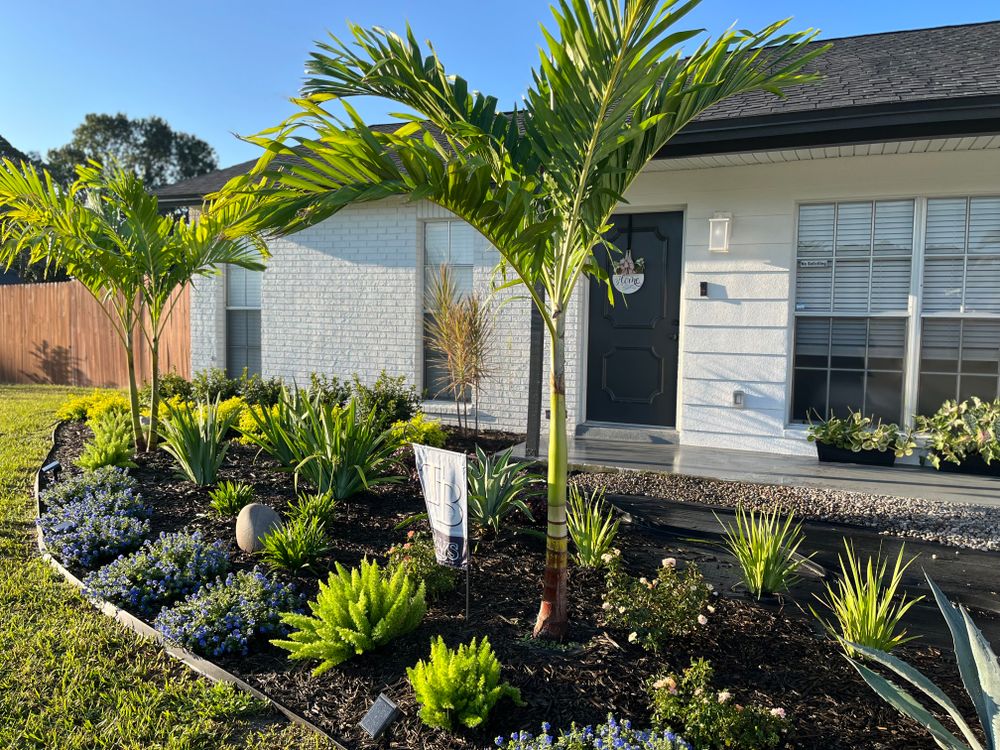 All Photos for Verimay's Garden and Landscaping in Hillsborough County, FL