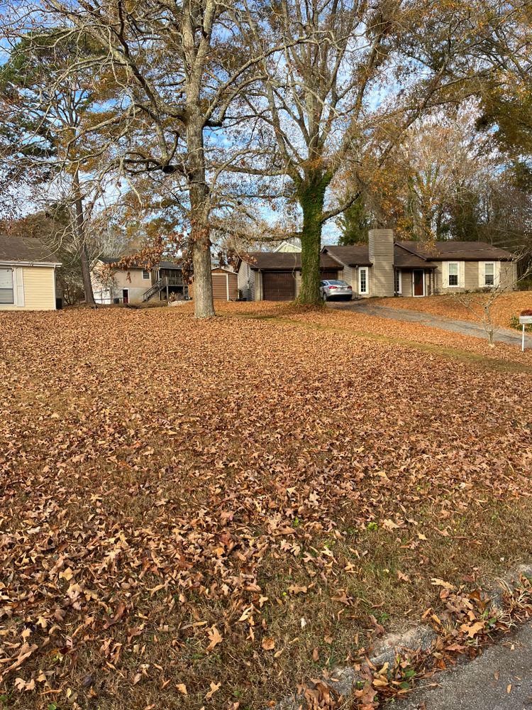 All Photos for J.P Landscaping and excavation in Chattanooga, TN