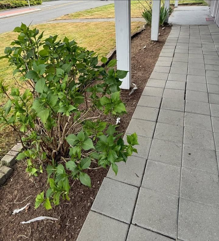 All Photos for B.U Landscaping in Everett, WA