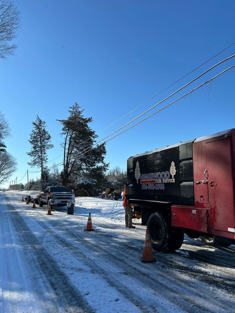 All Photos for Hingewood Tree Service in Salem, NJ