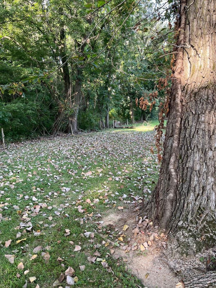 All Photos for Baker Professional Services LLC in Shelbina, MO