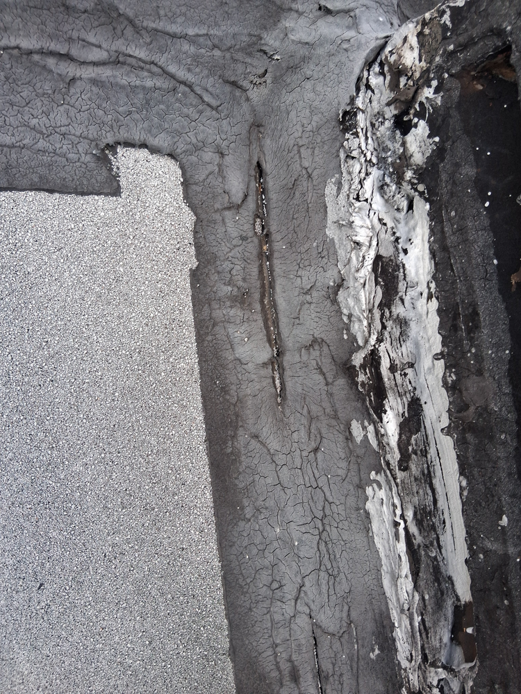 All Photos for K. Billey Construction in Brooklyn, NY