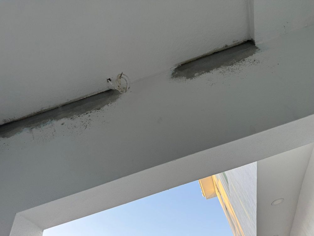 All Photos for Escorpio Painting in Tampa, FL