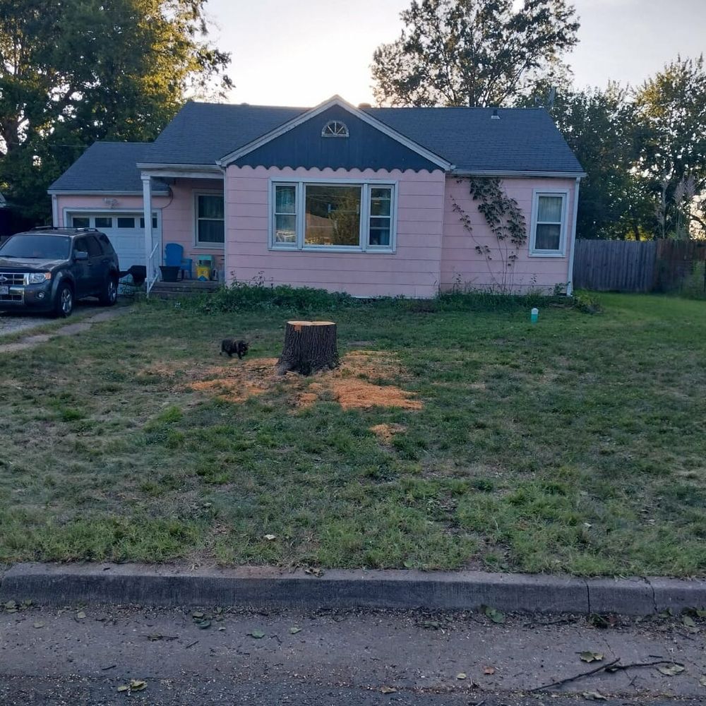 Our Tree Removal service offers safe and efficient removal of unwanted or hazardous trees, enhancing your property's safety and beauty while protecting nearby structures and landscaping with expert care. for Sky High Tree Service in Columbia, MO