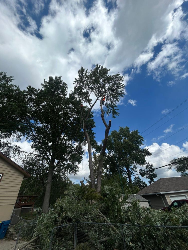 All Photos for Cross Family Tree Service in Kearney, MO