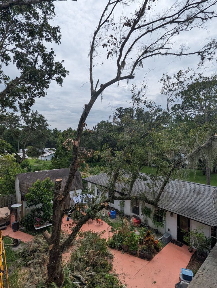 All Photos for Regal Tree Service and Stump Grinding in Wauchula, FL