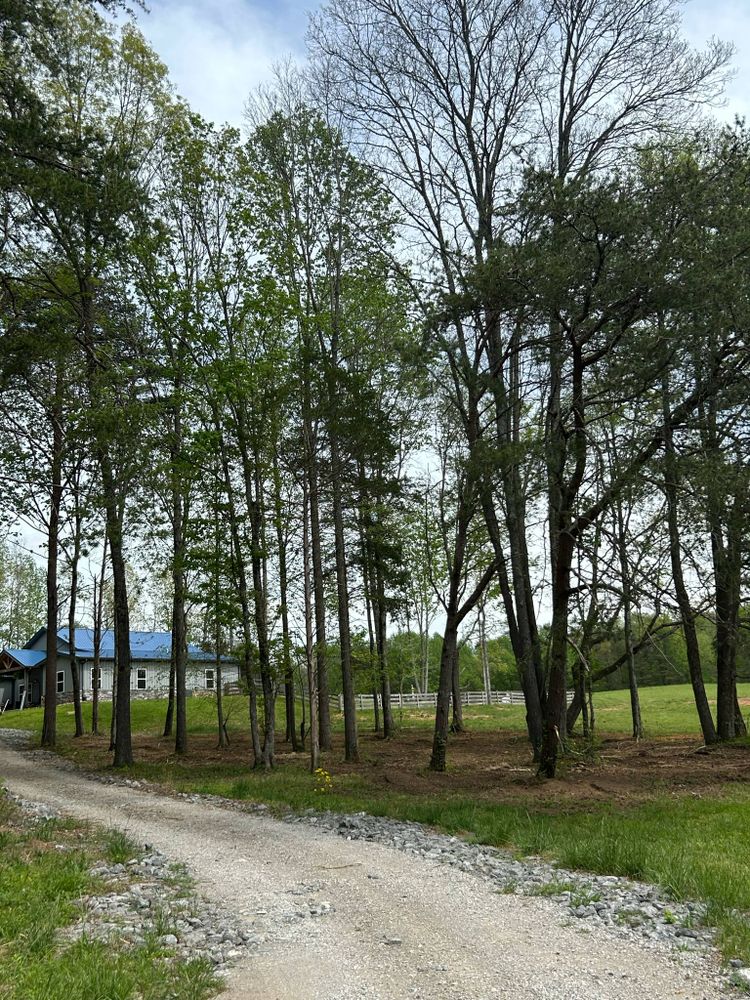 All Photos for Z's Land Management & Forestry Mulching in Smithville, TN