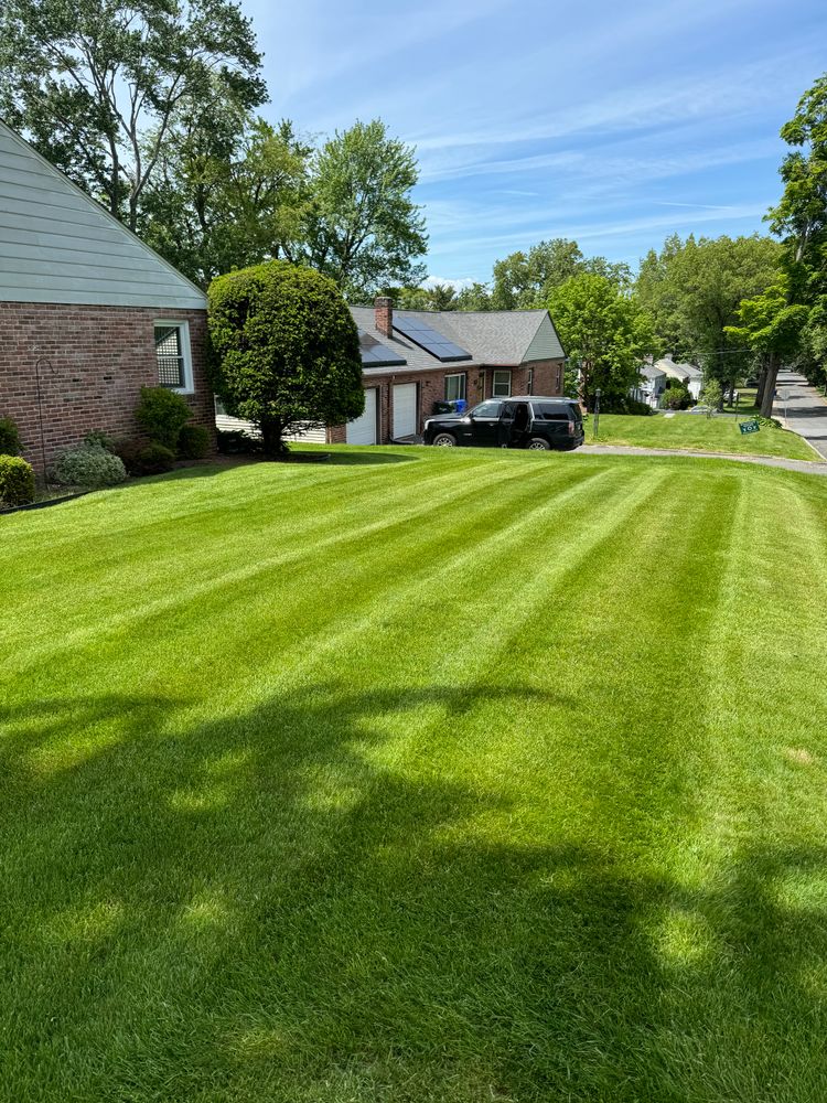 All Photos for Adams Landscaping in Springfield, MA