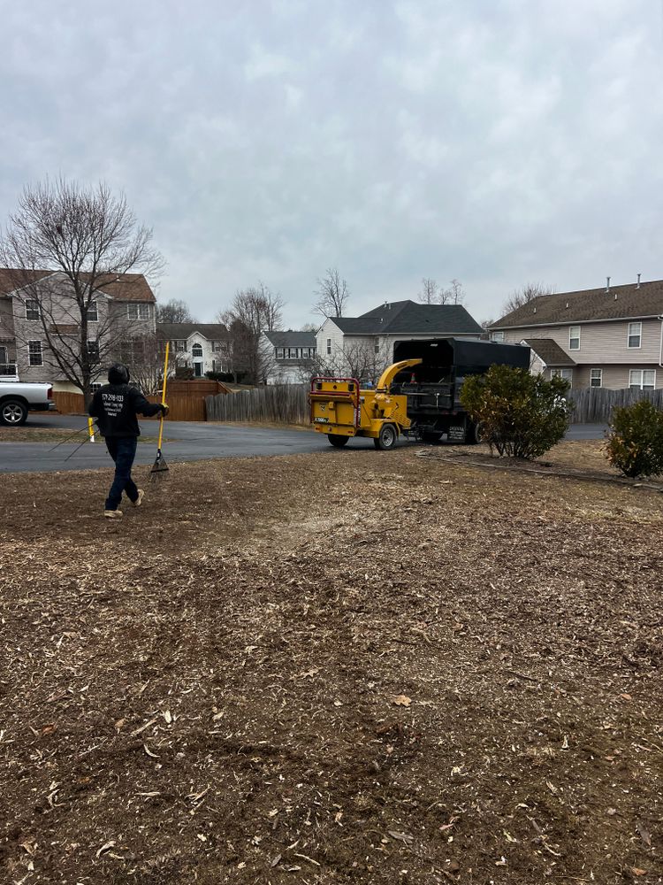 All Photos for DIAZ TREE in Stafford, VA