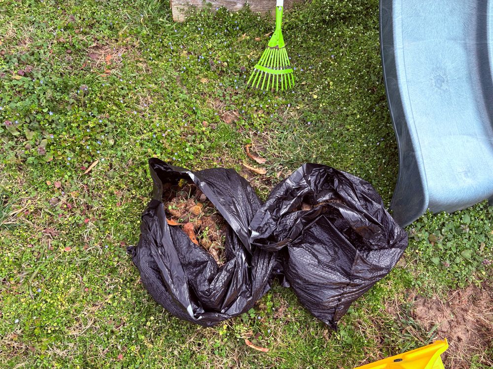 All Photos for River City Scoopers in Midlothian, VA