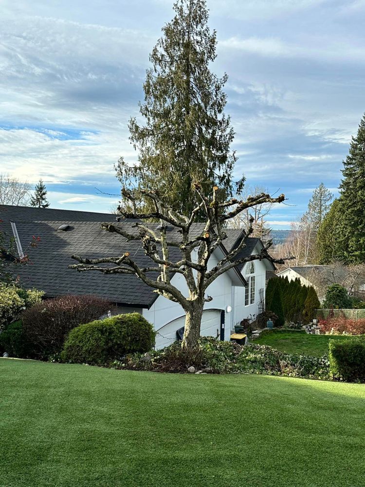 Landscaping for SAW Enterprises  in Arlington , WA