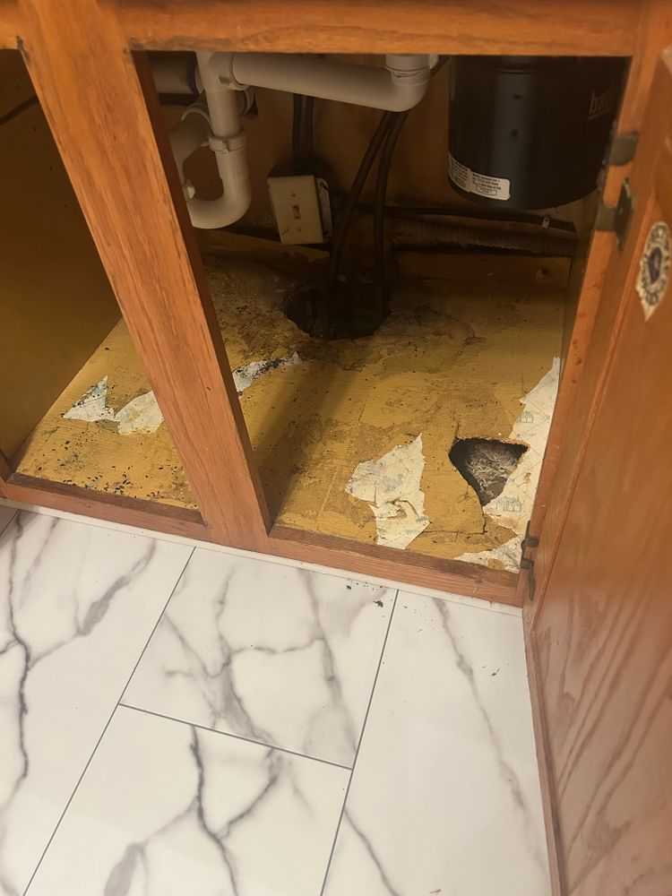 All Photos for Icanhandyman in Lakeville, MN