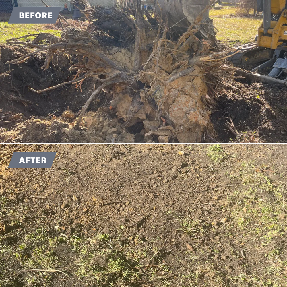 Land Clearing  for Cortez Construction SC, LLC in Conway, SC