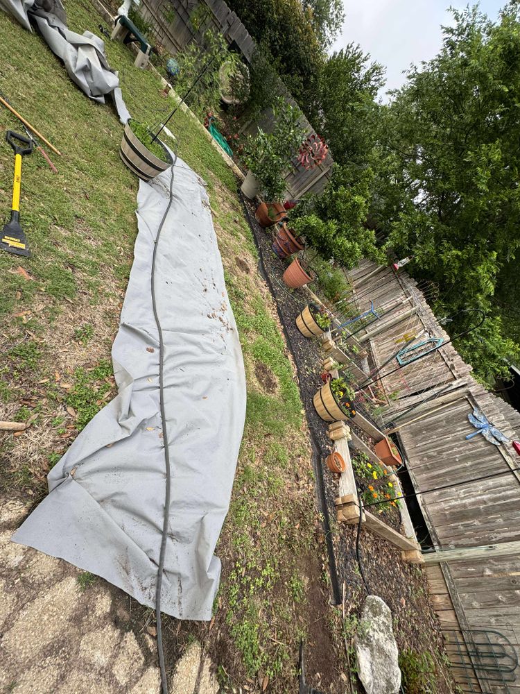 All Photos for Fresh Yards Landscaping in Austin, Texas