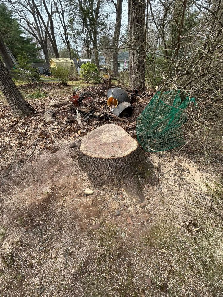 Our stump removal service efficiently eliminates unsightly tree stumps, enhancing your landscape's appearance and safety. Trust our skilled team to quickly restore your outdoor space with minimal disruption to your property. for DC TREE in Vernon, CT