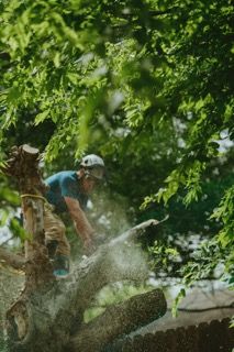 All Photos for Blu-J Tree Care in Arlington, TX