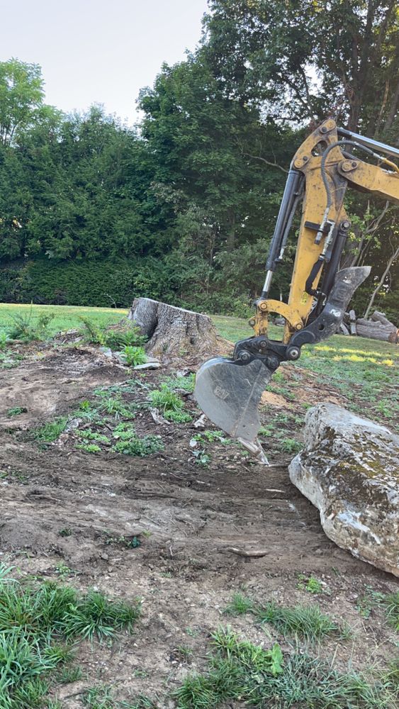 Stump Removal  for Deer Run Property Services in Rocky Gap, VA