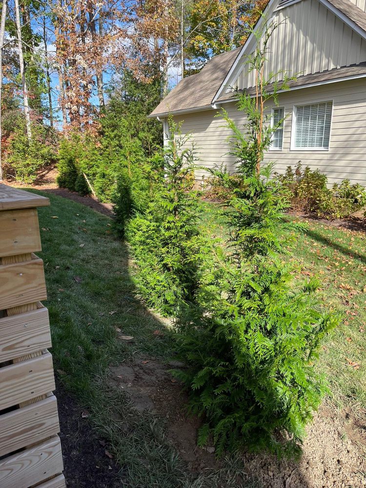 All Photos for Atlas Home Services in Mechanicsville, VA