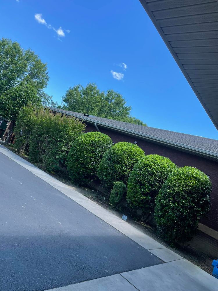 All Photos for Grasshopper Excavating & Pools in Pigeon Forge, TN