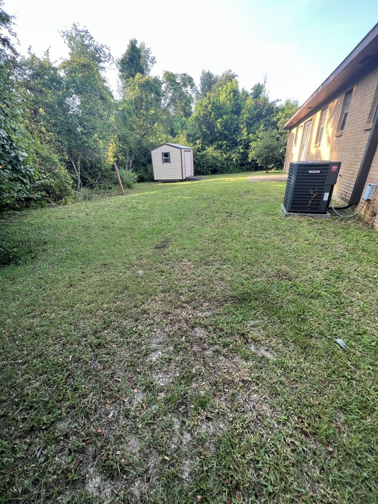 All Photos for Lawn Dog Mowing and Lawn Services in Panama City, FL