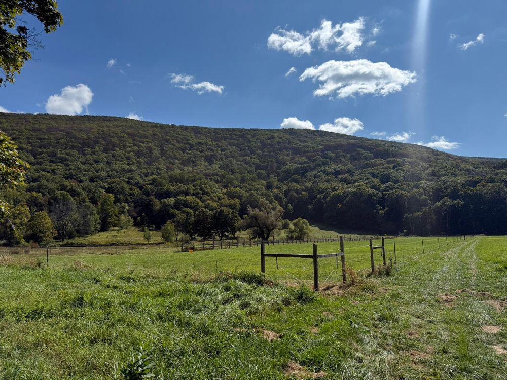 All Photos for LJ Lawn & Property Maintenance, Inc. in Cold Spring, New York