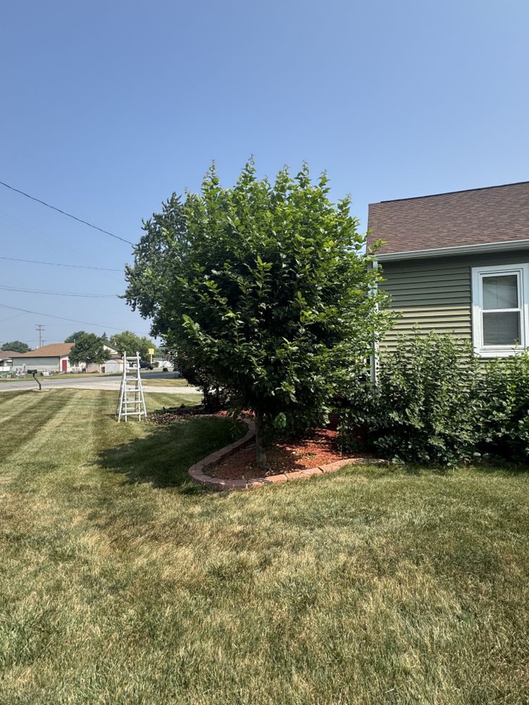 Landscaping Lawn Care for Daugherty's Tough Lawn Care in Essexville, MI