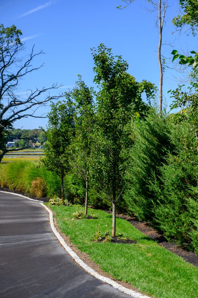 All Photos for Pungitore Landscapes, Irrigation & Fertilizer in Hingham, MA