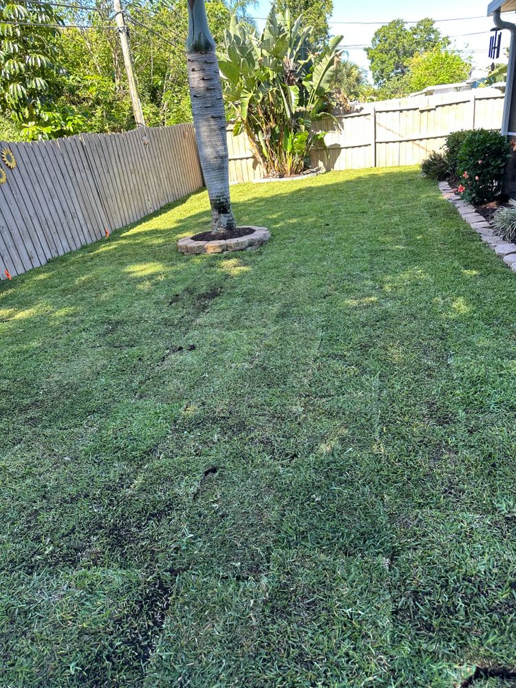 All Photos for Gulf Bay Sod in Clearwater, FL