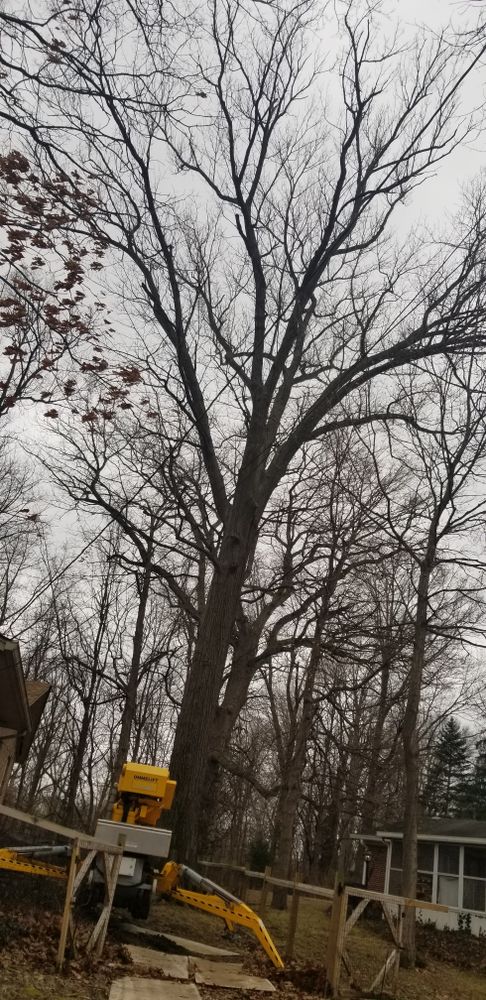 All Photos for Advanced Tree Solutions in Rockville, IN