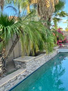 All Photos for Patriot Tree Service in Mesa, AZ