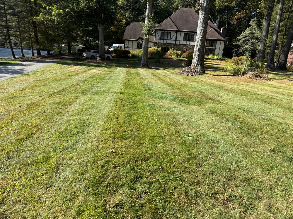 Lawn Care for Ardisi Landscaping & Design in Poughkeepsie, NY 