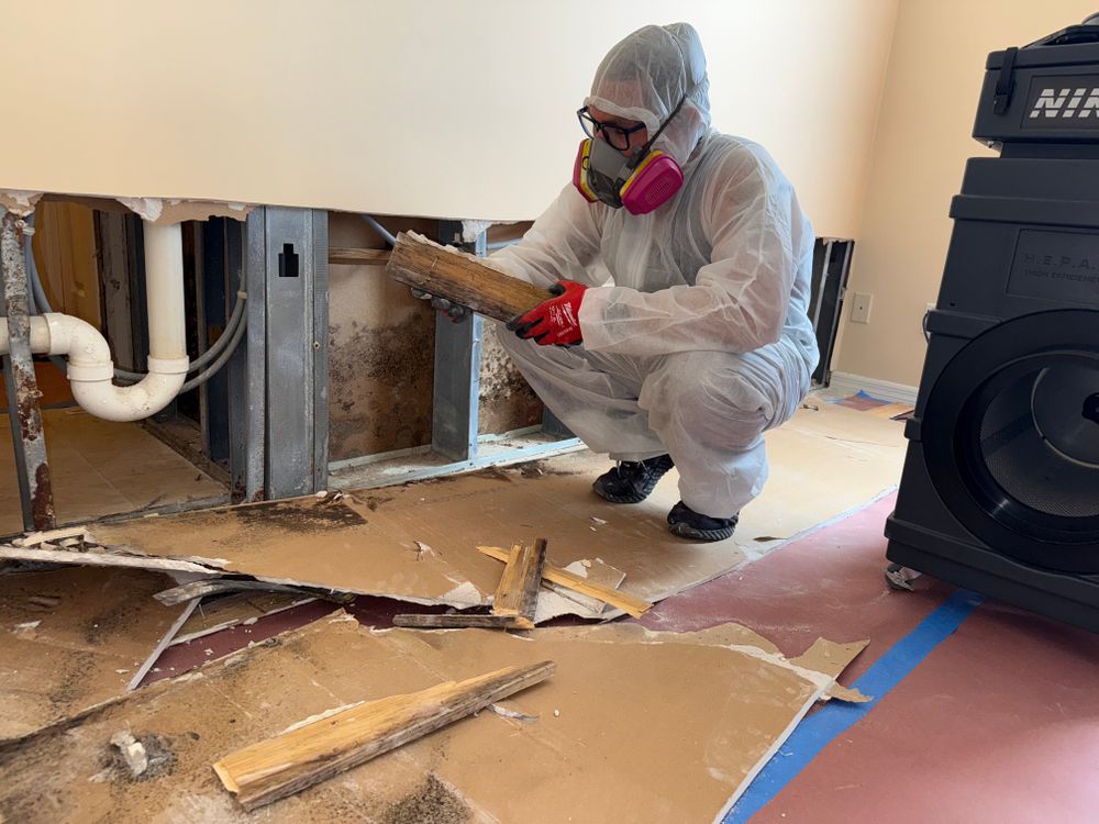 All Photos for N&D Restoration Services: When Disaster Strikes, We Come In in Cape Coral,  FL