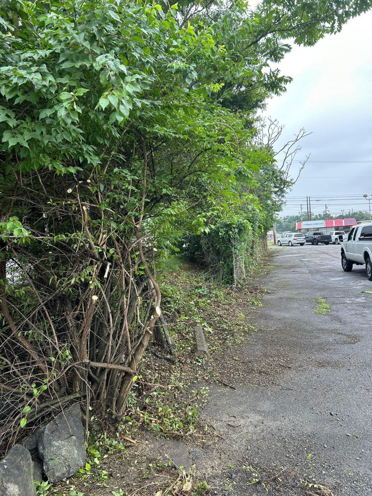 All Photos for Eric's Property Service in Conestoga, PA