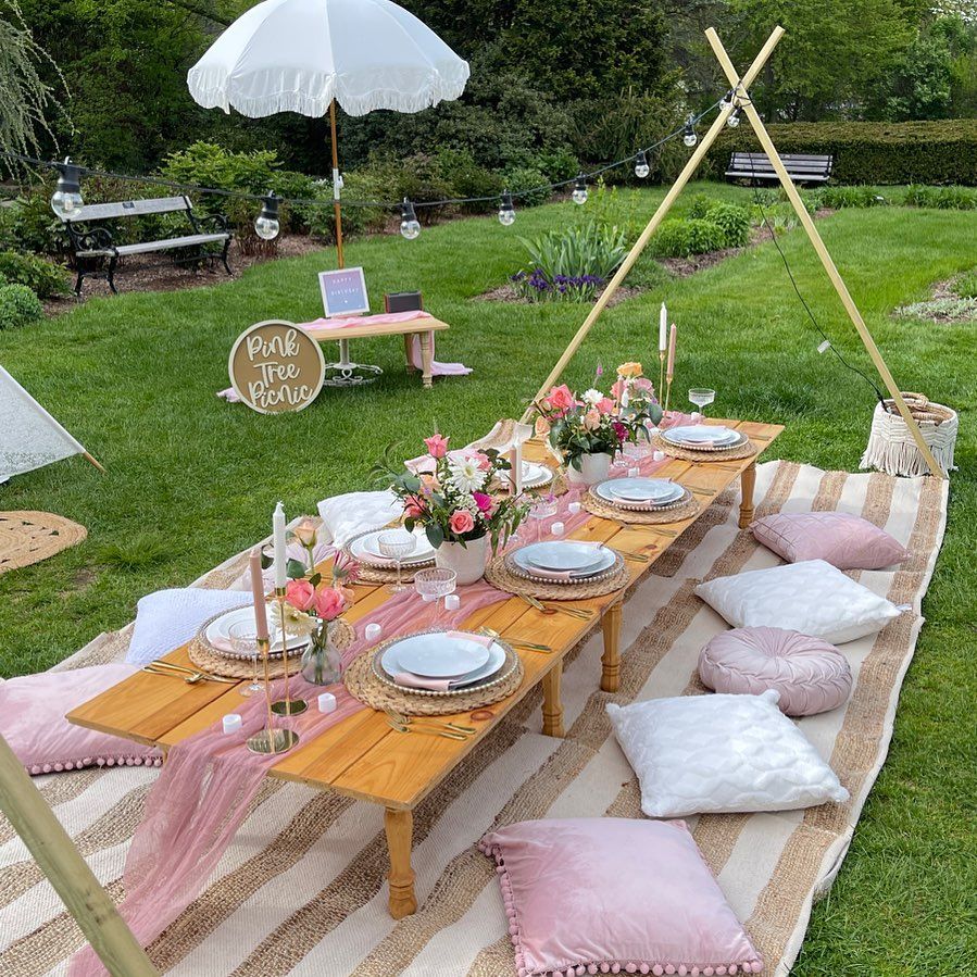 Luxury Picnic for Pink Tree Picnic in Bethel, CT