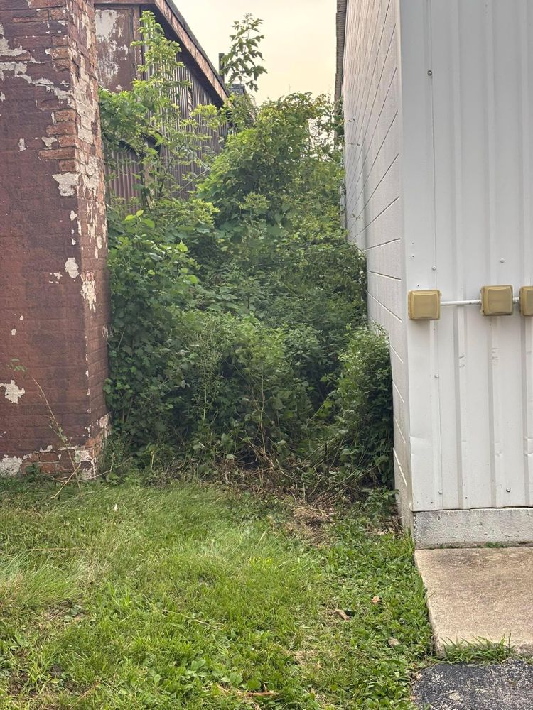 All Photos for Cena Landscaping in Rockford, IL