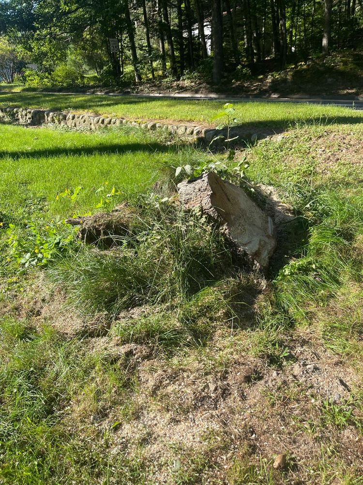 Stump Grinding  for Green In Green Out Tree Services in Westbrook, ME